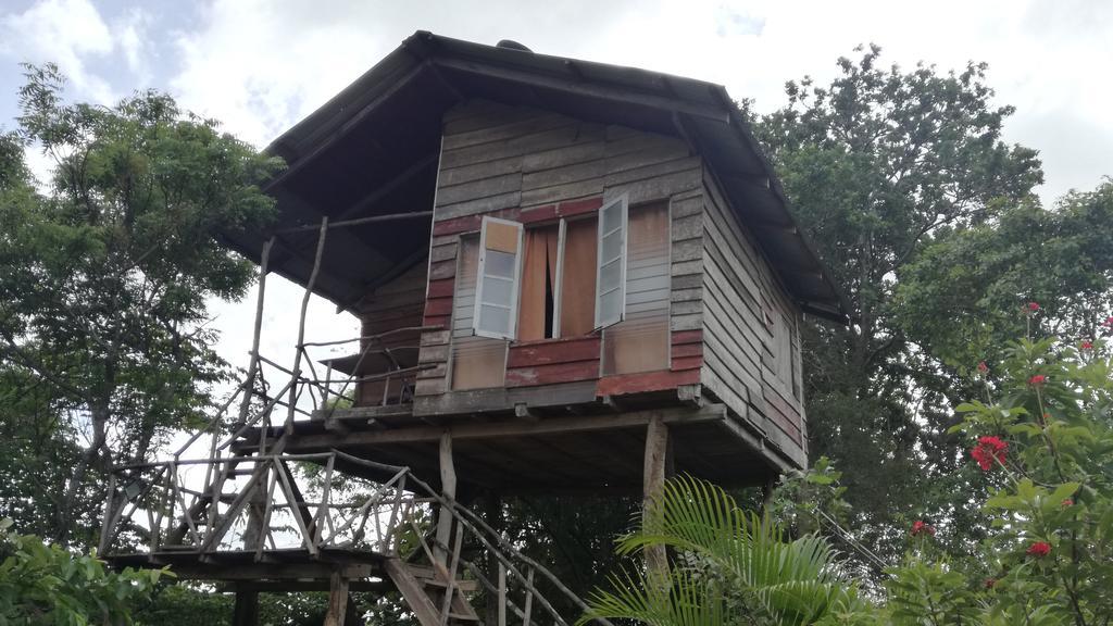 Sigiri Forest View Sigiriya Exterior photo